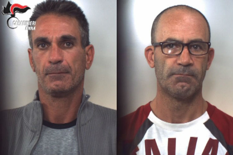 Scoperta piantagione di Cannabis: grande sinergia tra Procura di Enna, Carabinieri e Corpo Forestale