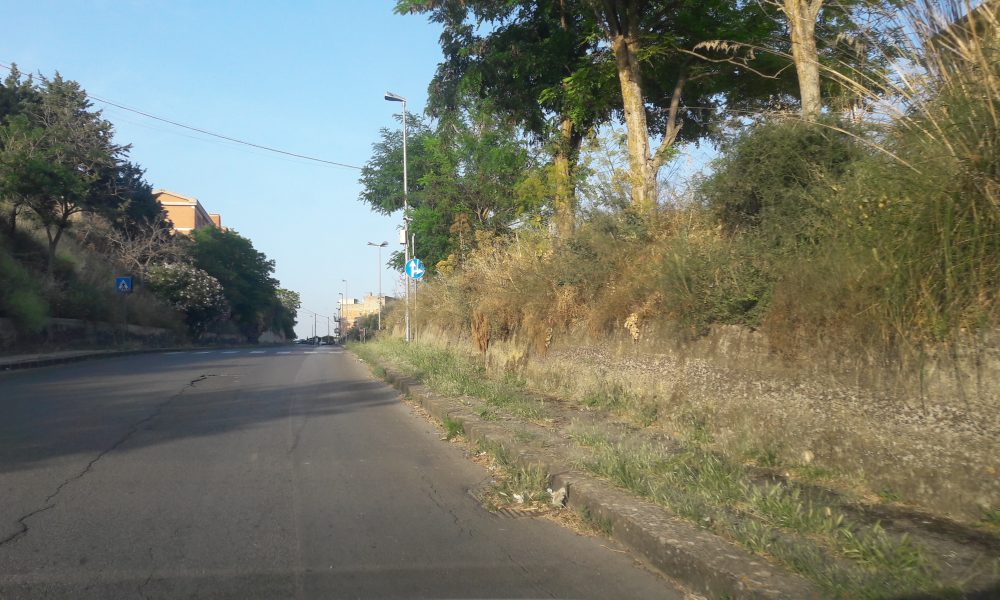 Agira: Cimitero. Strada della circonvallazione piena di erbacce