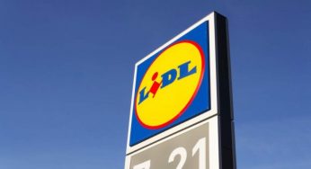 LIDL DISTRUGGE la concorrenza | A soli 2,89€ porti a casa il MIRACOLO dell’estate, l’afa sarà solo un vecchio ricordo