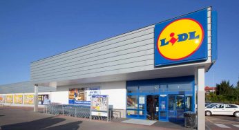 LIDL rivoluziona l’estate, il segreto è a 2,39€ | Altro che vacanze costose, così ti godi la freschezza con tutta la famiglia