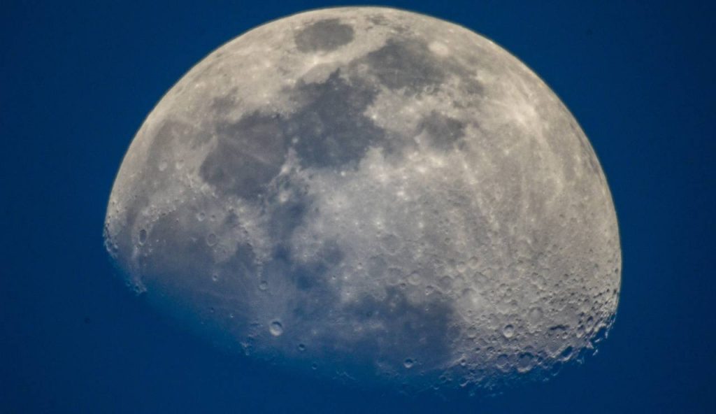 Luna - foto web - lagazzettaennese.it
