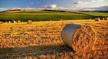 Sicilia: finanziati i progetti di insediamento per 1.625 giovani