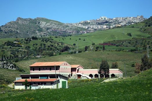 Troina: Sindaco Venezia “Vicinanza all’azienda agricola Agrima per l’incendio doloso”
