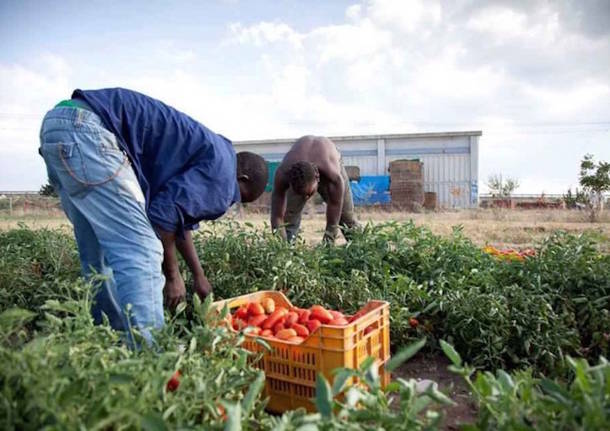Approvata legge contro il “Caporalato”. Ecco cosa prevede