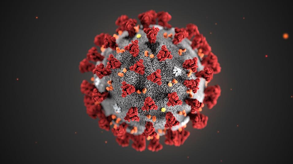 Sicilia: 130 i pazienti risultati positivi al Coronavirus