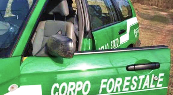 Uila Sicilia: la regione deve ancora pagare gli operai forestali per due mensilità 2016