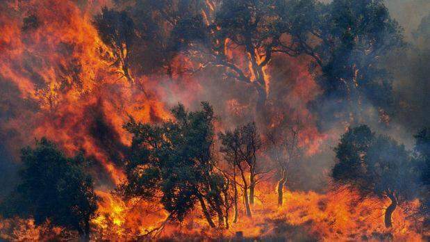 Piazza Armerina: Non si ferma l’incendio, distrutti quasi 1000 ettari di bosco