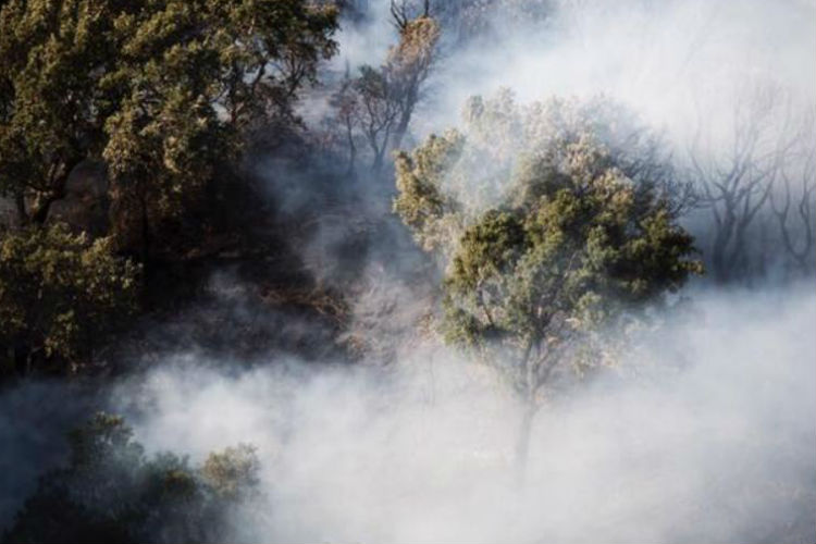 Enna: dal pomeriggio vasto incendio divampa nella zona di San Calogero