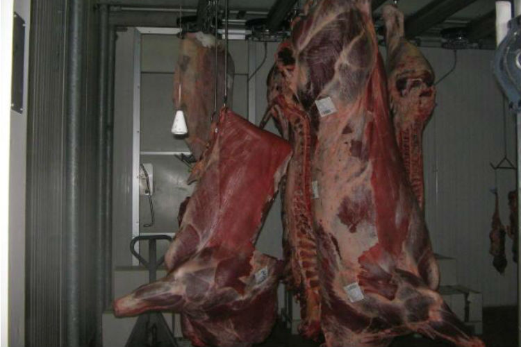 Scoperta in provincia masseria adibita a “macello abusivo di animali”