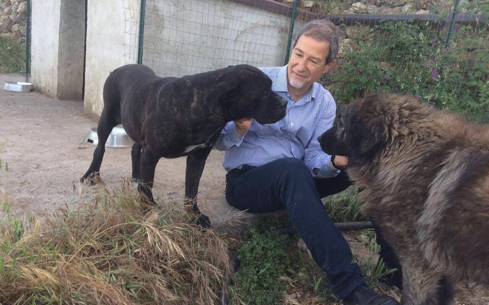 Randagismo in Sicilia: Musumeci, “In ogni provincia un pronto soccorso per gli animali d’affezione”