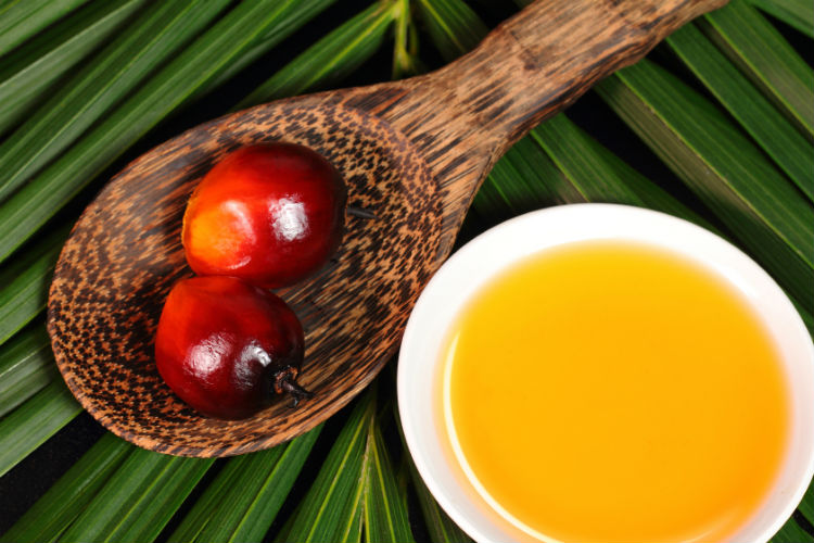 E’ vero che l’olio di palma può nuocere alla salute?