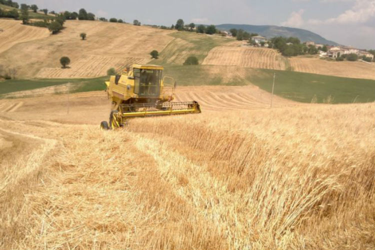 Siccità in Agricoltura: il Comune di Troina chiede lo stato di calamità naturale