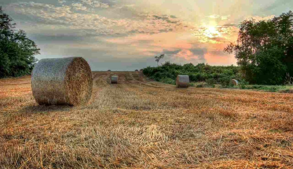Balle di fieno - foto pixabay - lagazzettaennese.it