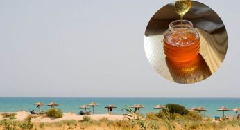 Ok cannoli e cassate, ma in Sicilia vi è anche il BORGO DEL MIELE | Winnie The Pooh è l’ospite d’onore ideale