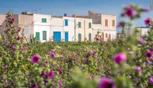 Favignana - foto flickr - lagazzettaennese.it