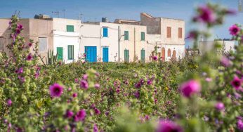La Sicilia come non l’hai mai vista | Questo è il BORGO DEI SOGNI dell’isola, chi ci va non andrà mai più via