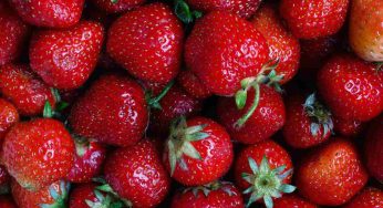 Dimentica il pistacchio e la mandorla, in Sicilia ora si parla del BORGO DI FRAGOLA | Venerdì ci sarà la grande festa