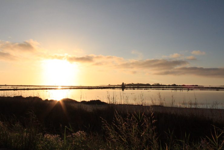 Laguna dello Stagnone - foto flickr - lagazzettaennese.it