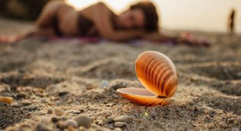 Addio sabbia ostinata, scopri come togliere ogni granello dal costume in 3 mosse | La lavatrice è salva