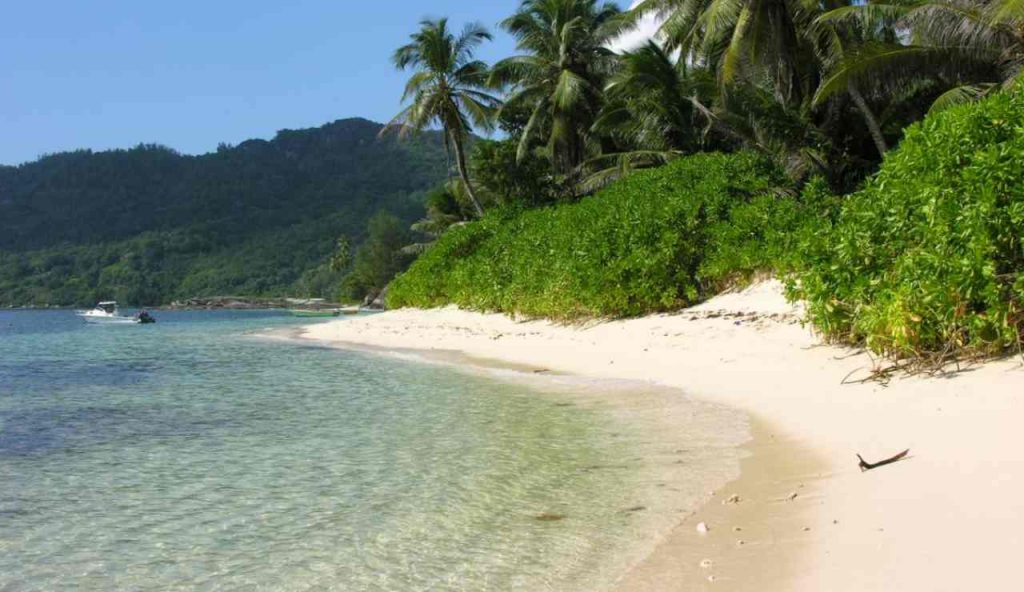 Seychelles in primo piano - foto wikimedia commons - lagazzettaennese.it