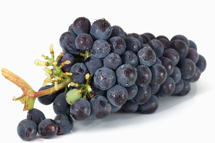 Acini d'uva - foto pixnio - lagazzettaennese.it