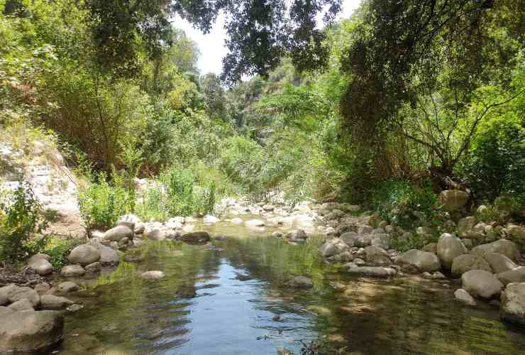 Gole del Tellesimo - foto facebook @Escursionisti Iblei (Modica, Ragusa) di Federico Garrafa - lagazzettaennese.it