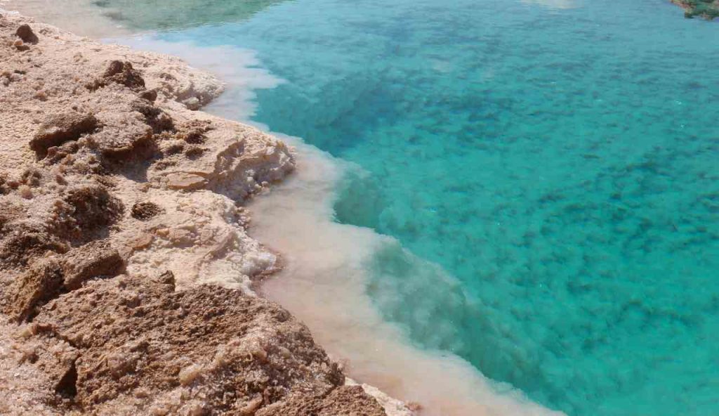 Oasi naturale - foto pexels - lagazzettaennese