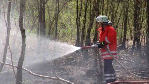 Incendio (Pixabay) - Lagazzettaennese.it